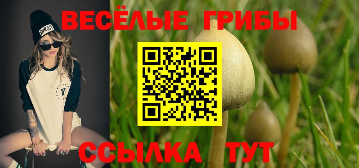 Советск  Галлюциногенные грибы Psilocybe  Вход с VPN 